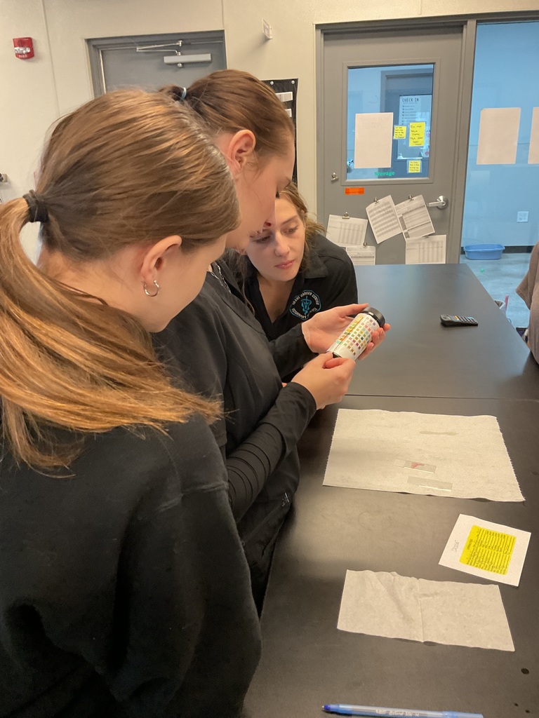students look at urine analysis tests