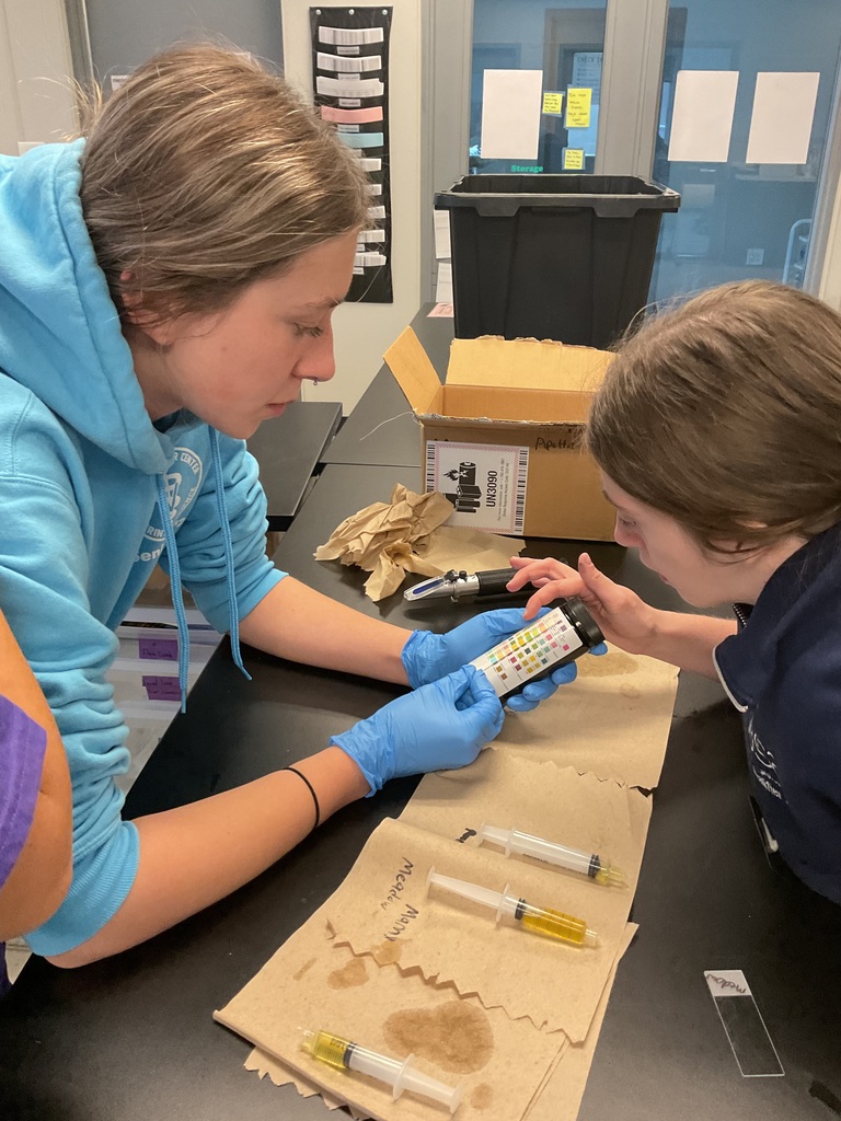 students look at urine analysis tests