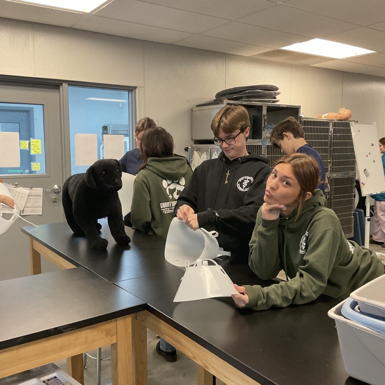 Vet Science Juniors, practicing putting together a E-collar, and taking it apart! Some even trying it on them selves!