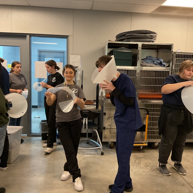 Vet Science Juniors, practicing putting together a E-collar, and taking it apart! Some even trying it on them selves!