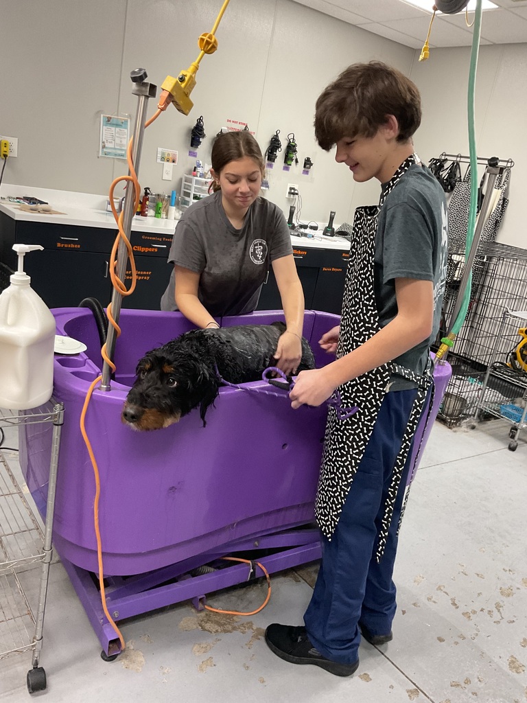 two  joyful junior grant students groom the fluffy poodle mix, and making it a cheerful little celebration of teamwork and wagging tails.
