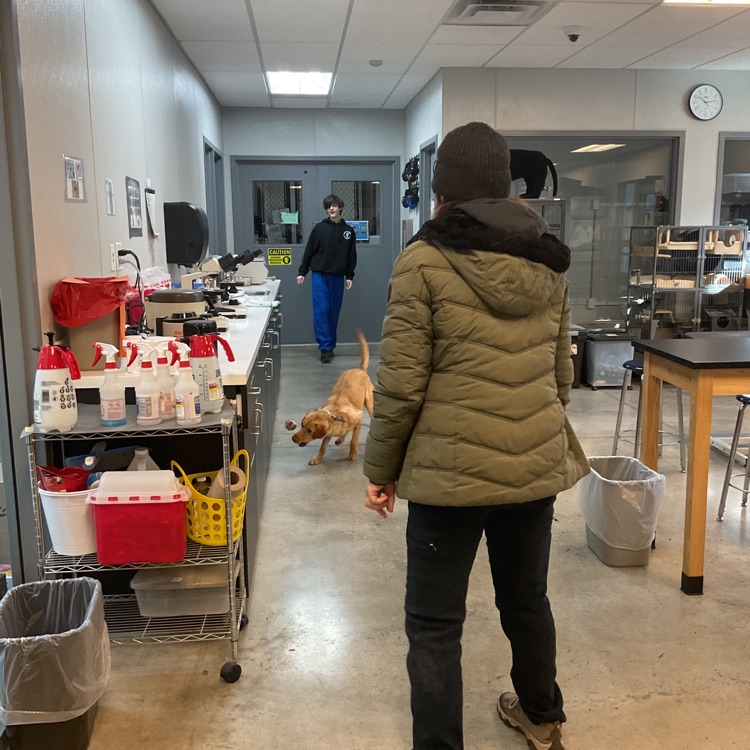 Vet Science Juniors’ We had a awesome surprise today! We got to love on and play with these fun dogs! Thank you so much to American K9s! We appreciate you guys visiting us! 