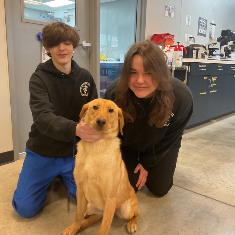 Vet Science Juniors’ We had a awesome surprise today! We got to love on and play with these fun dogs! Thank you so much to American K9s! We appreciate you guys visiting us! 