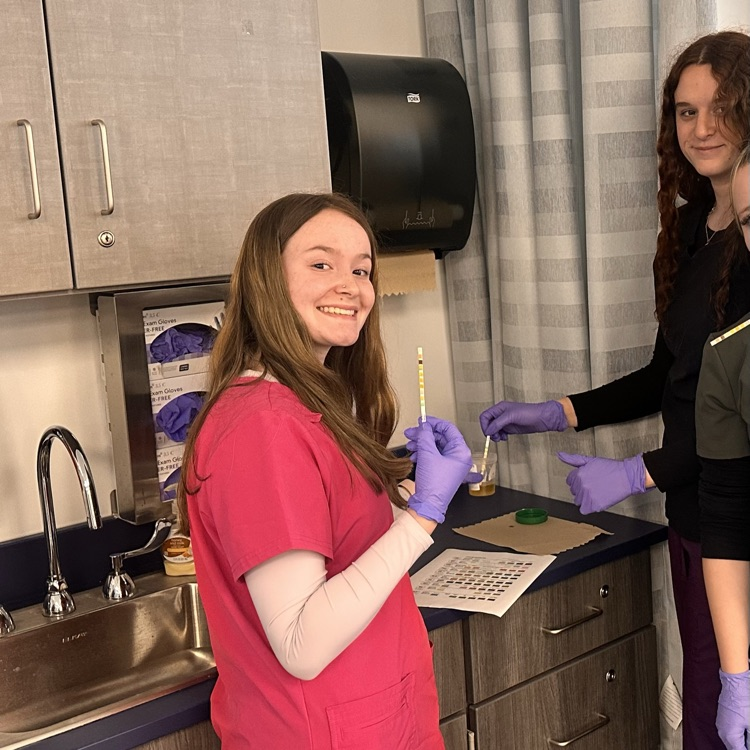 Juniors learning about testing urine