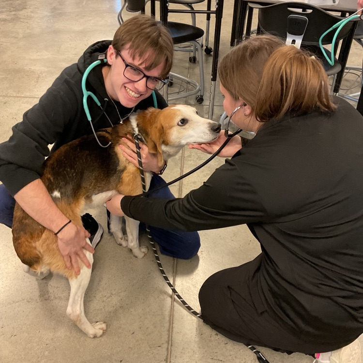 Vet Science Junior’s practicing how to take heart rates on dogs! We are having so much fun! These dogs are always adorable and fun! 