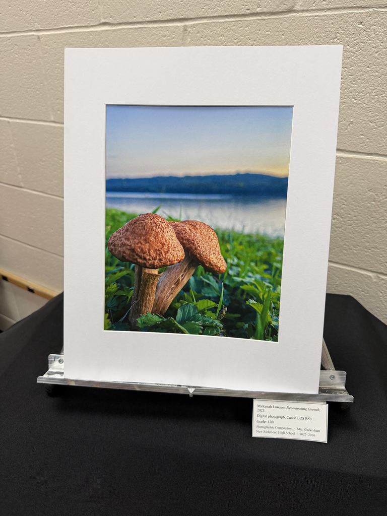 NR Art Show