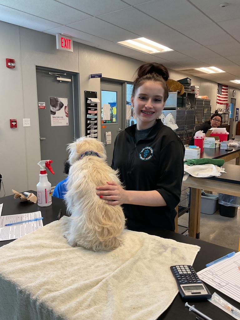 Dog on a table.