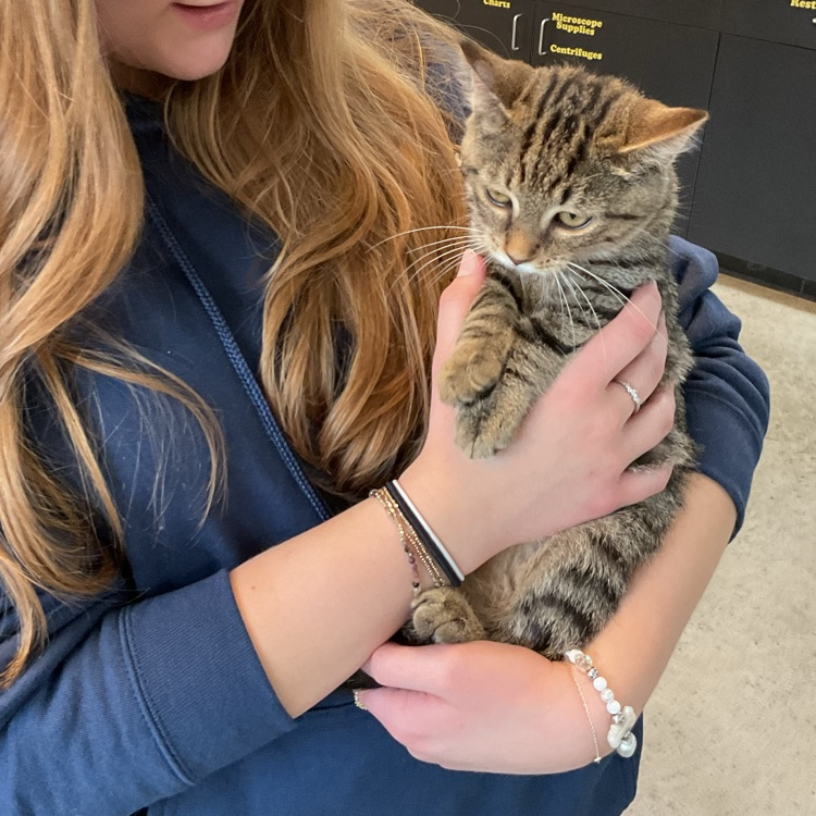 Student holding Kitten!
