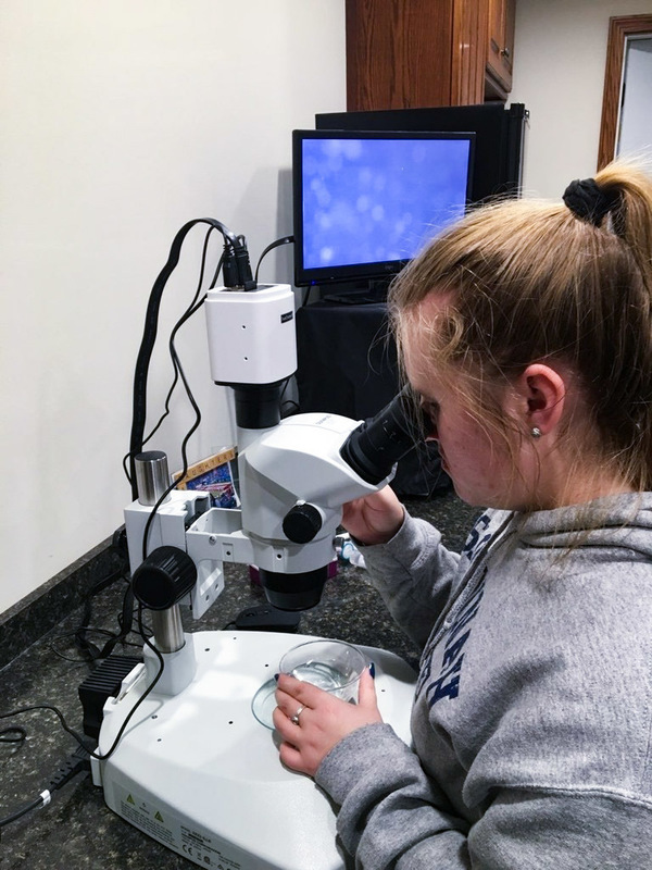 LAUREN COLYER LAUREN COLYER