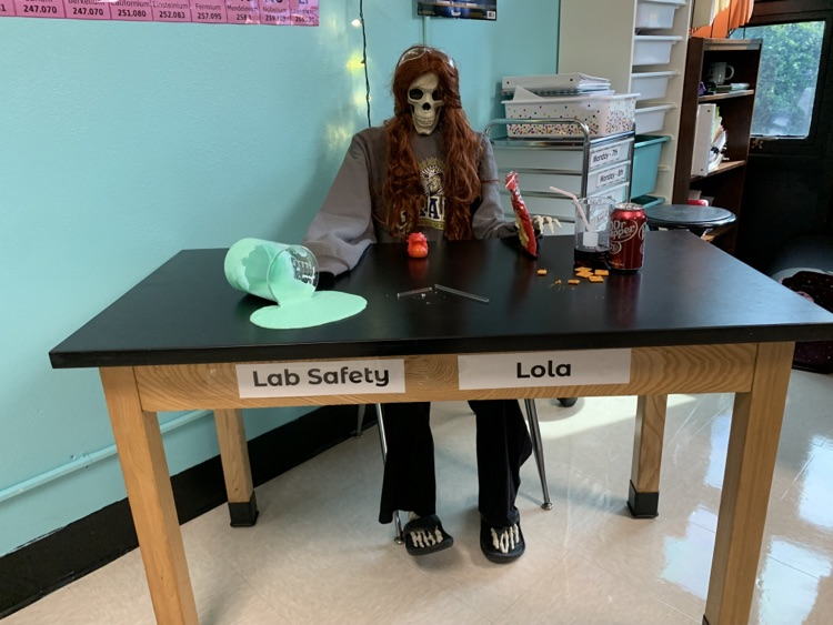 Not making safe lab choices