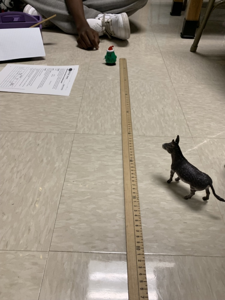calculating average speed