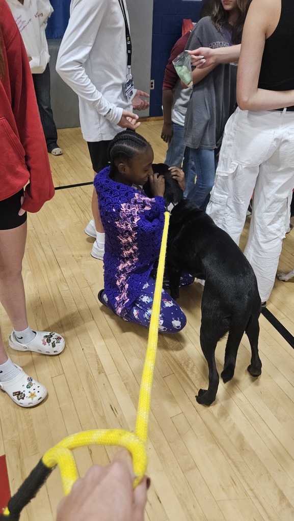 Theo getting some pets!