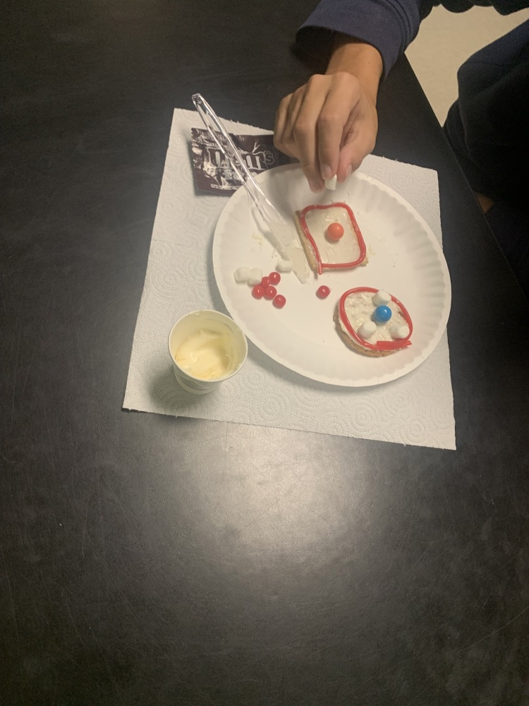 round cookie for animal cell and square graham cracker for plant cell