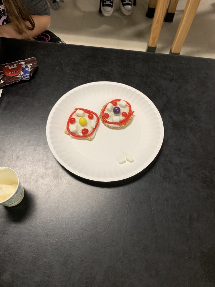 one green m&m or skittle for the chloroplast in the plant cell