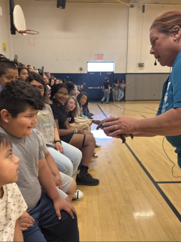 Volunteer from rescue facility with a three toed box turtle, showing students at an assembly