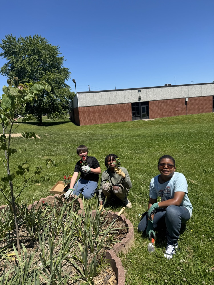 Planting in the garden 