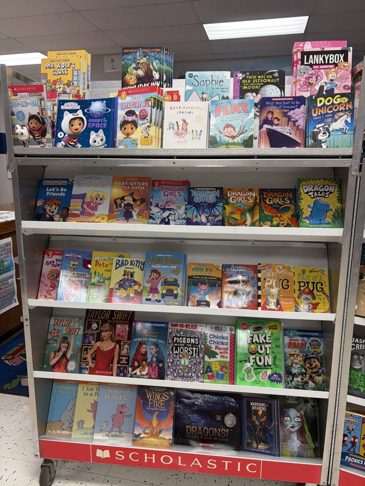 Book fair display case