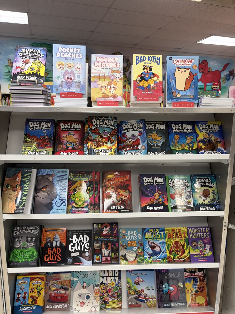 Book fair display case