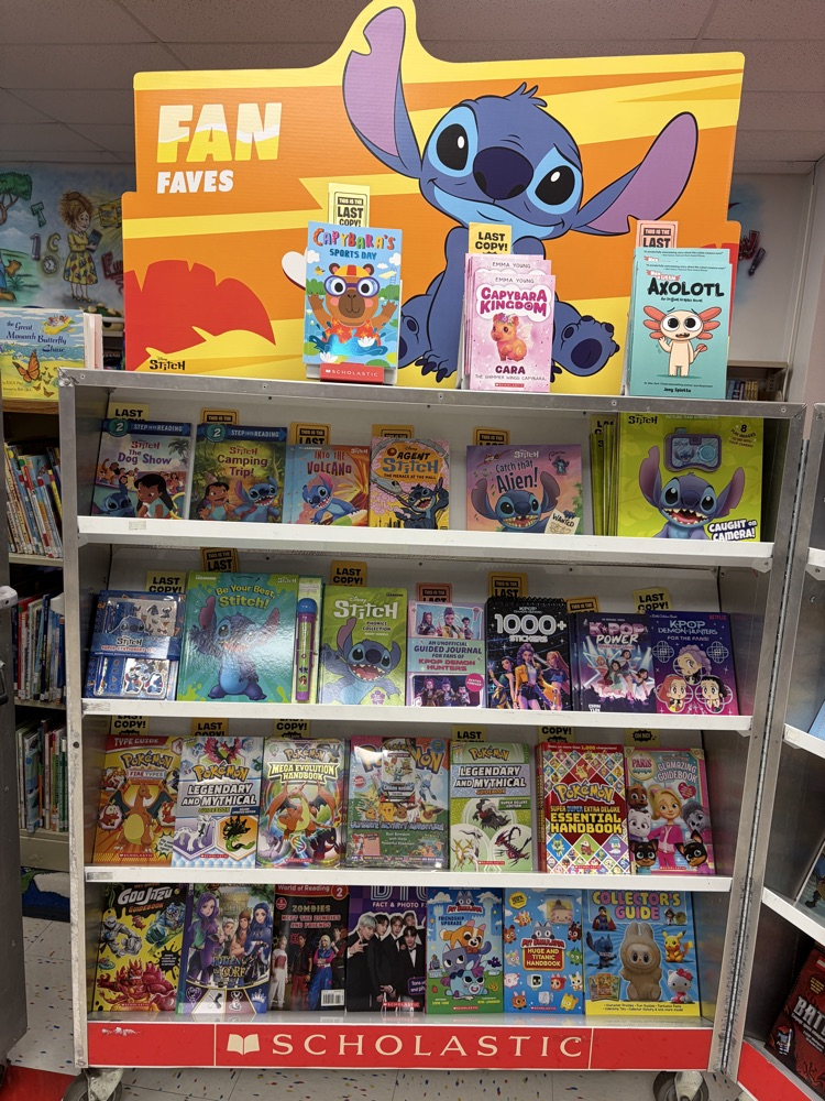 Book fair display case