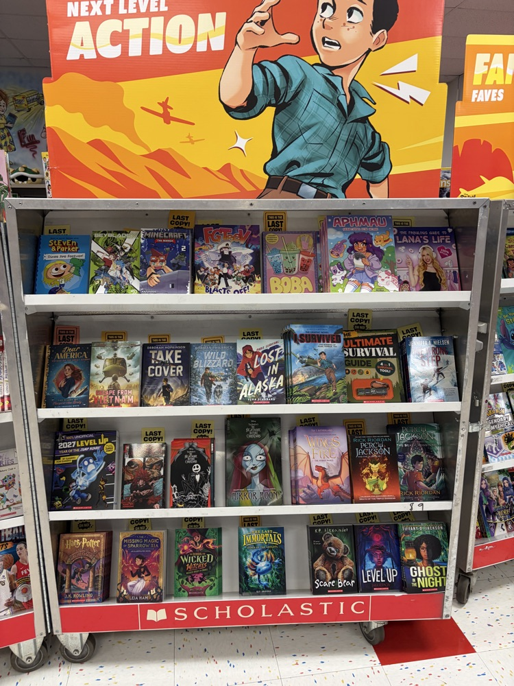 Book fair display case