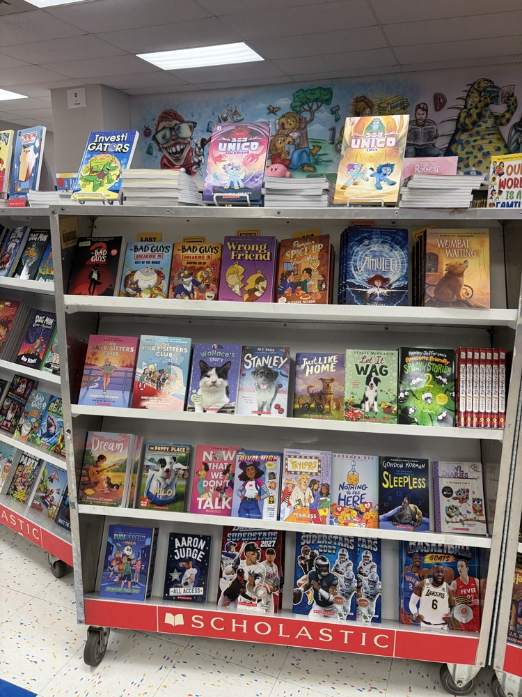 Book fair display case