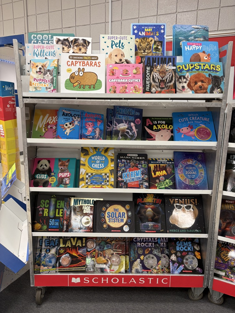 Book fair display case
