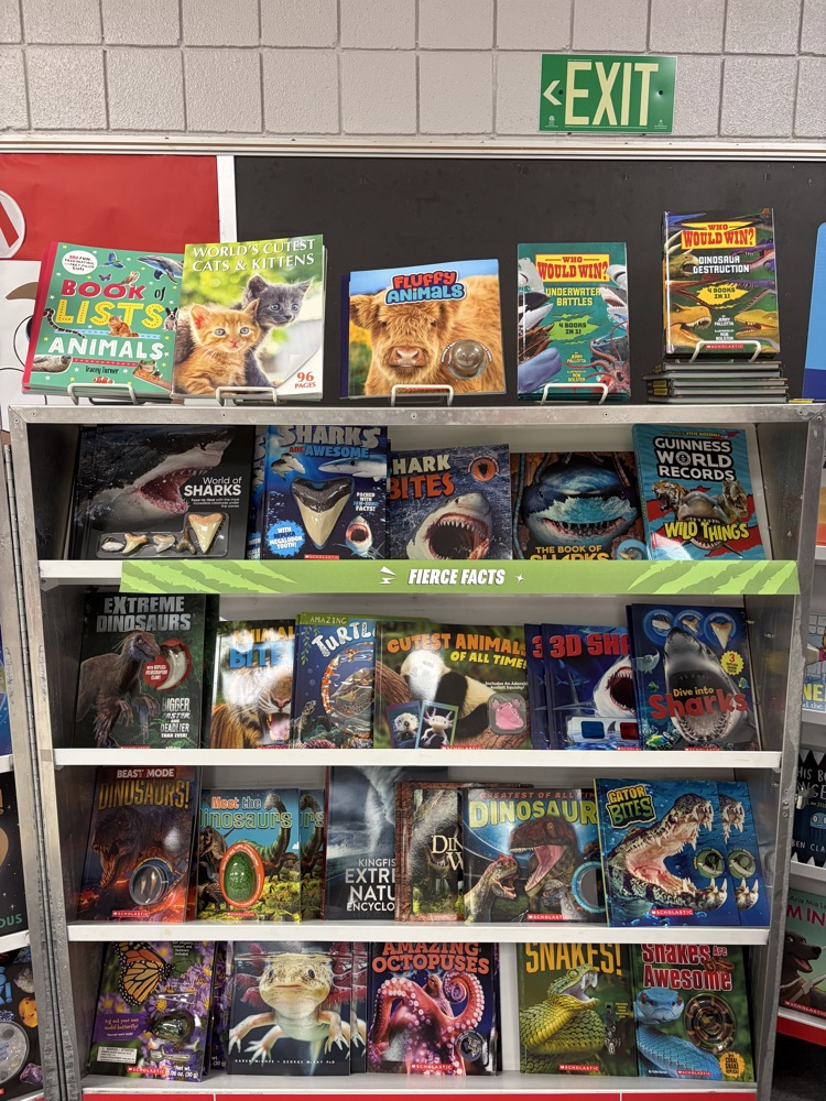 Book fair display case