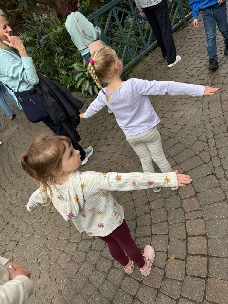 fly