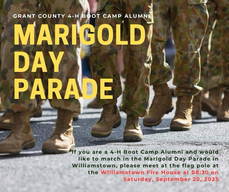 If you have a student who participated in the 4-H Boot Camp in the previous years, you are invited to participate in the Marigold Day parade in Williamstown. Details are listed below. 