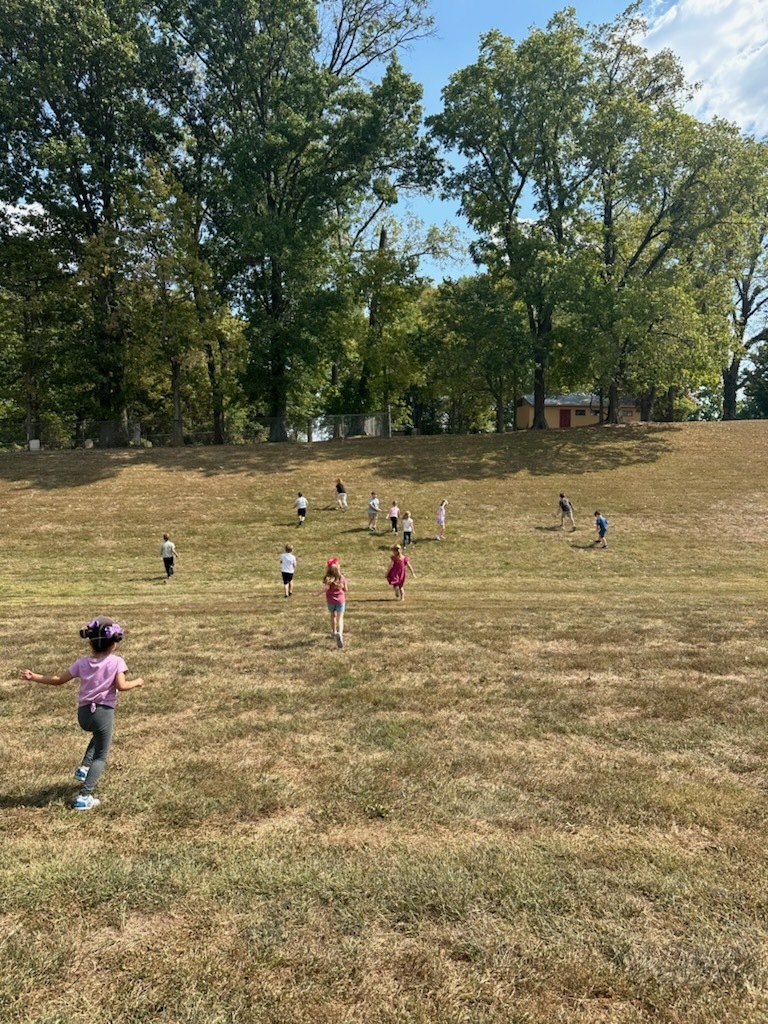 leaf hunt