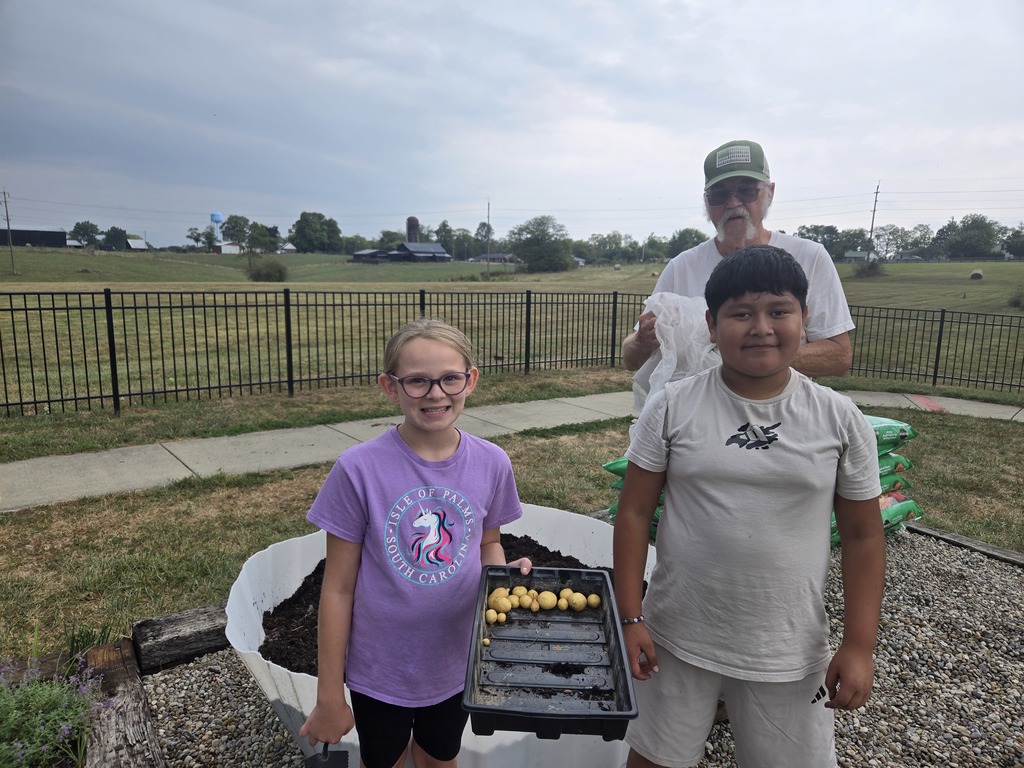 picking potatoes 