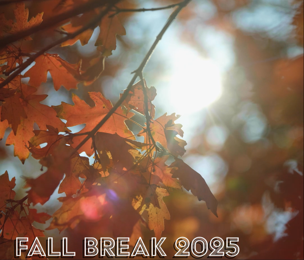 Leaves and sunshine