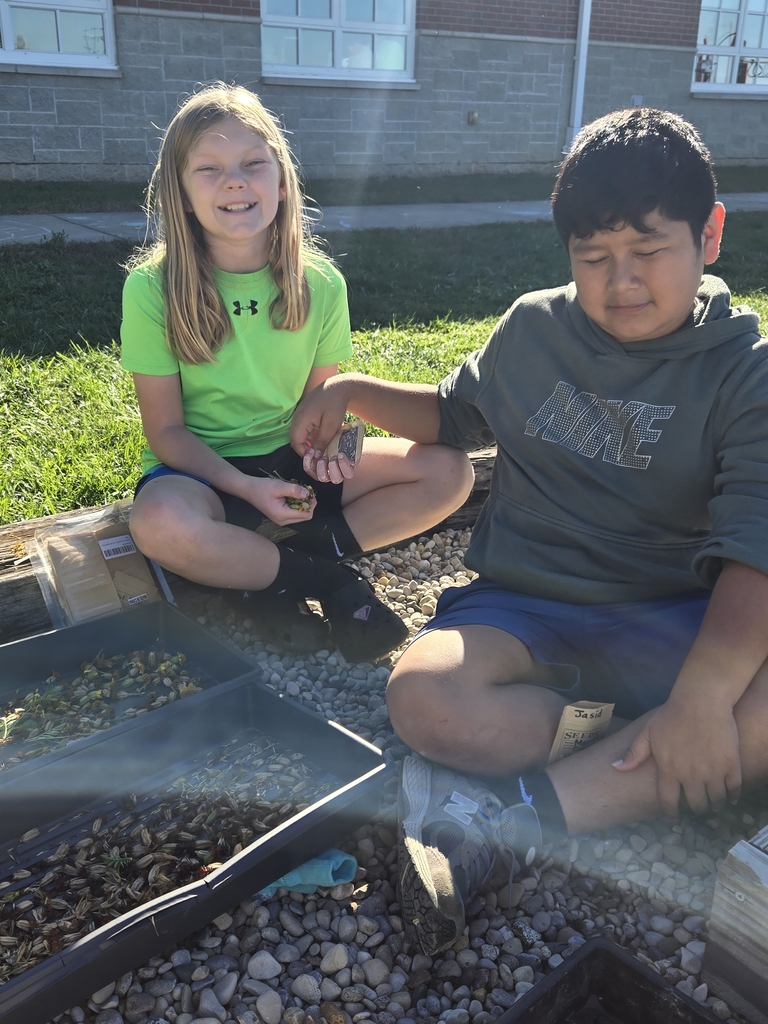 harvesting seeds