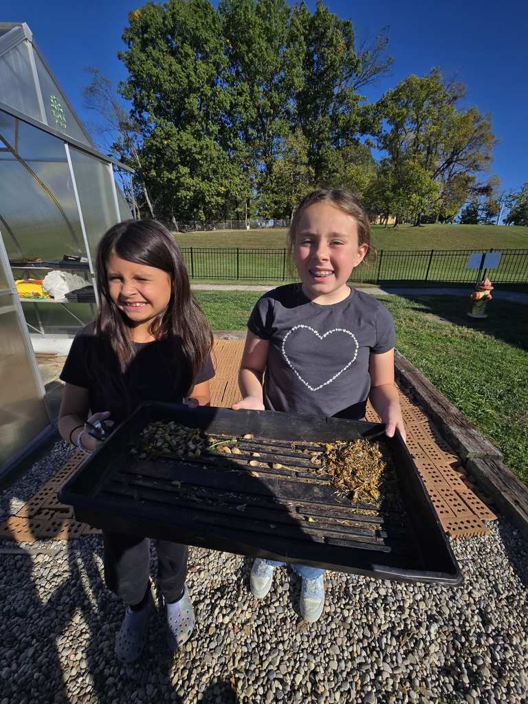 harvesting seeds