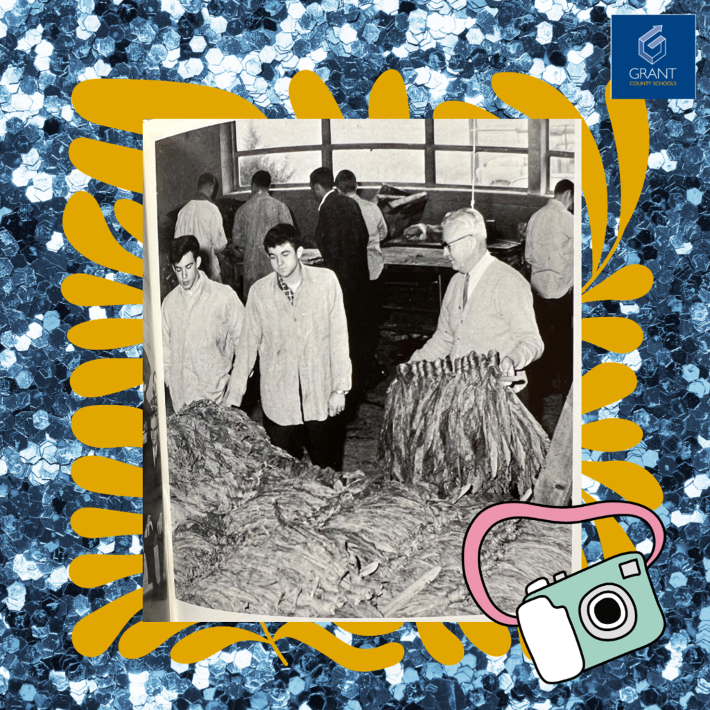 Vintage photo of men working in tobacco
