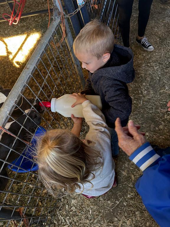 Pre School Pumpkin Patch Field Trip