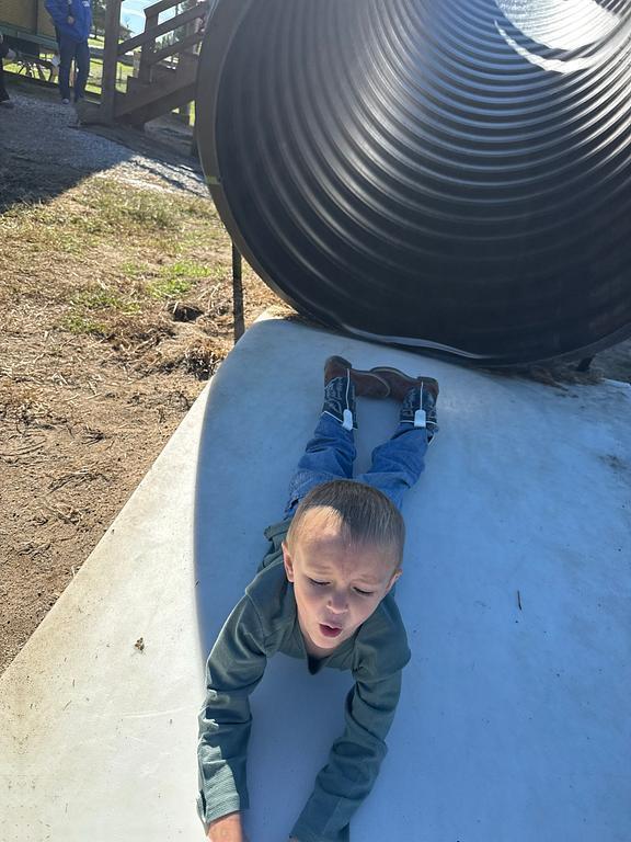 Pre School Pumpkin Patch Field Trip