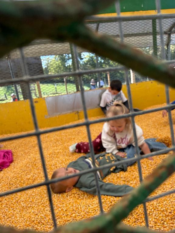 Pre School Pumpkin Patch Field Trip