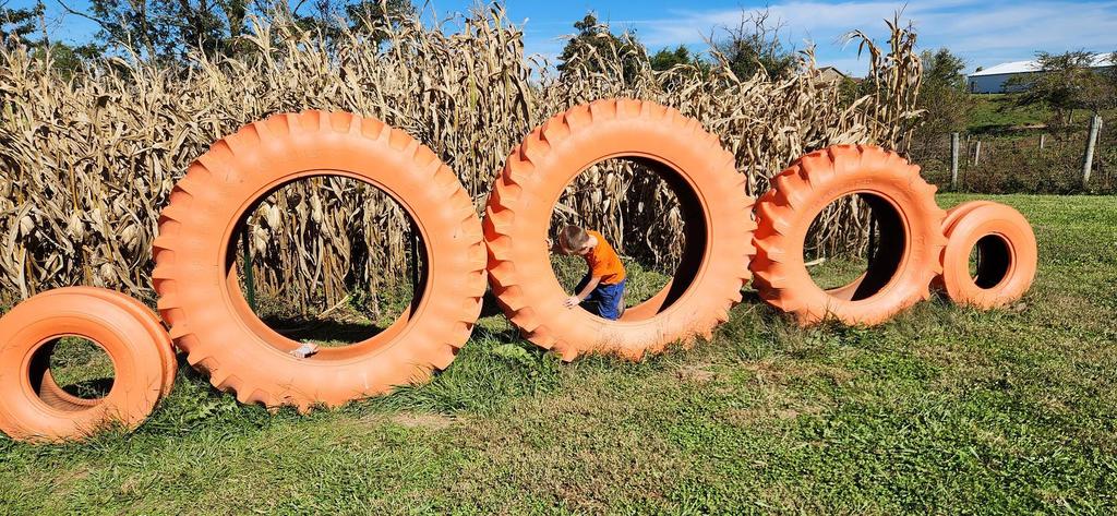 Pre School Pumpkin Patch Field Trip