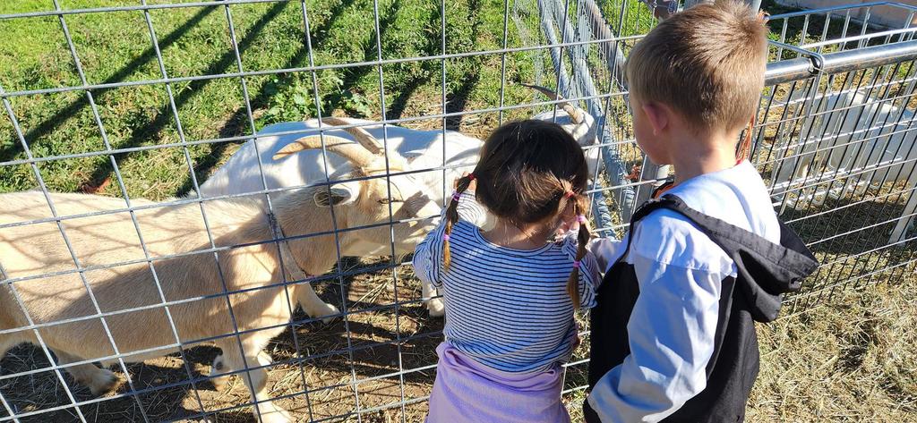 Pre School Pumpkin Patch Field Trip
