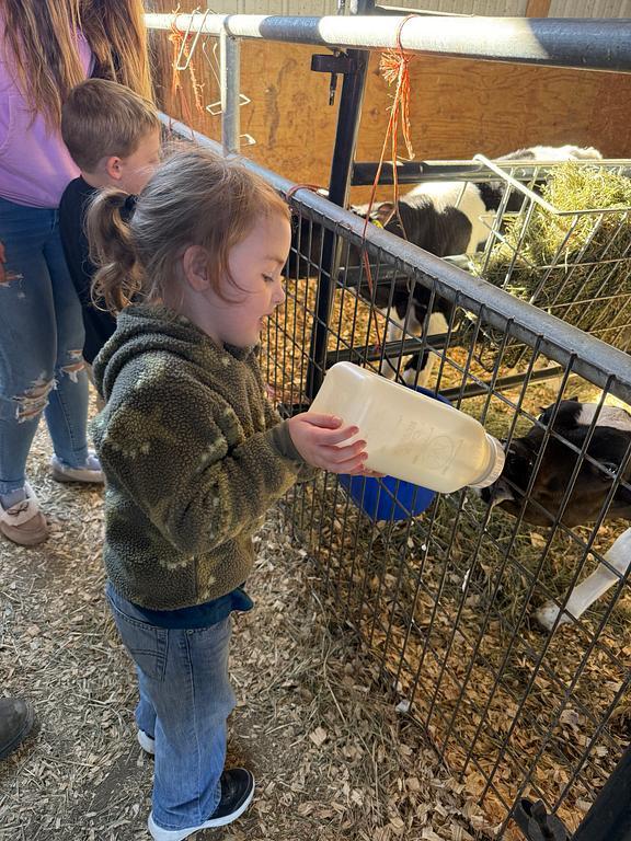 Pre School Pumpkin Patch Field Trip