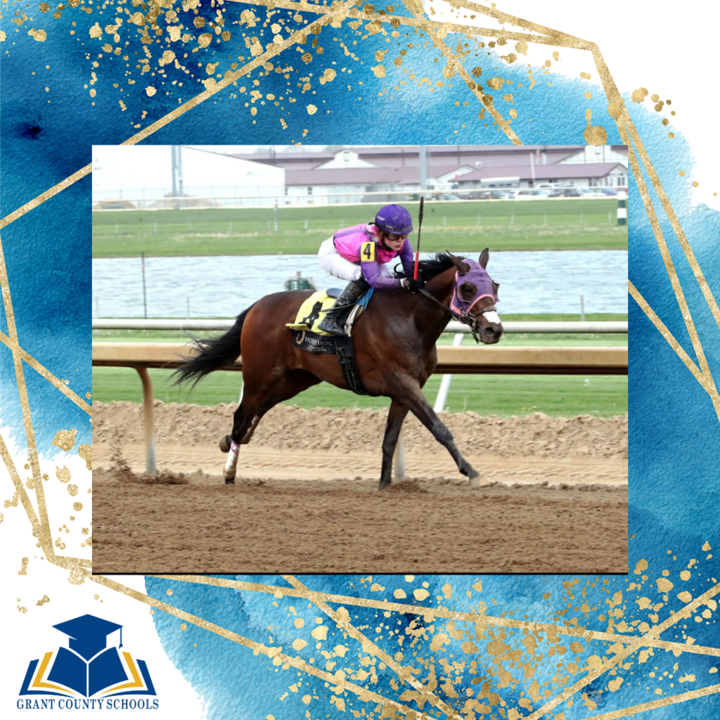 blue with a brown horse and jockey in pink
