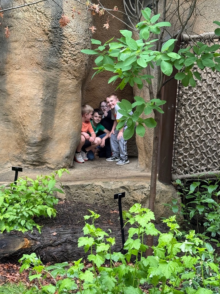 cincinnati zoo
