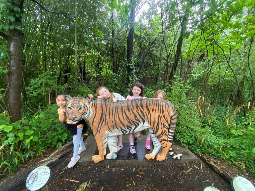 cincinnati zoo