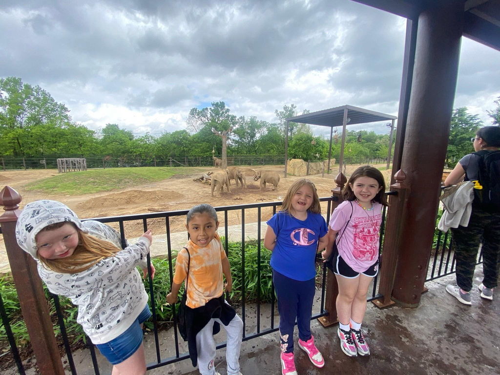 cincinnati zoo