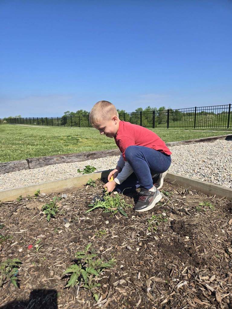 garden club
