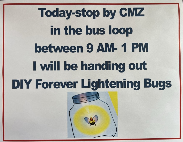 Lightening Bugs