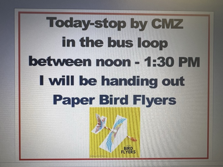 Paper Bird Flyers