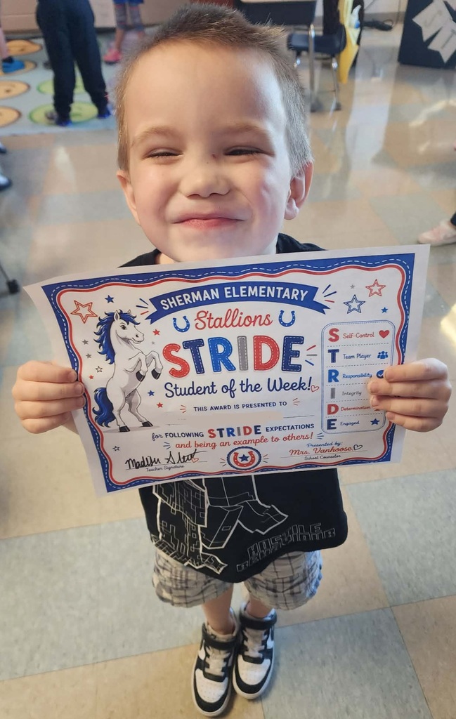 stride student