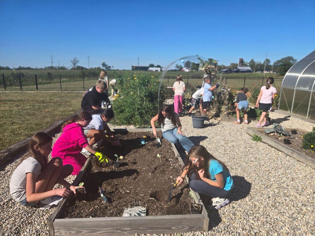 cleaning up and planting broccoli